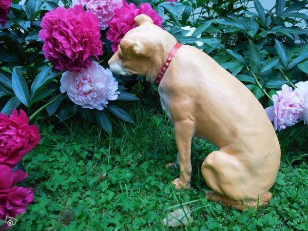 Koirapatsas Nipper istumassa, patsaan väri vaaleanruskea