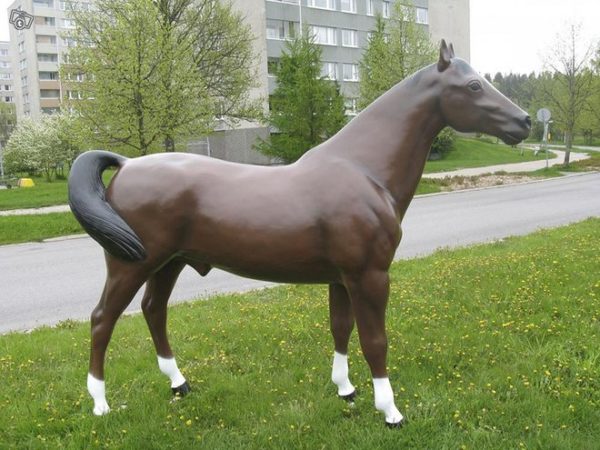 Hevospatsas, aidon kokoinen ruskea hevonen