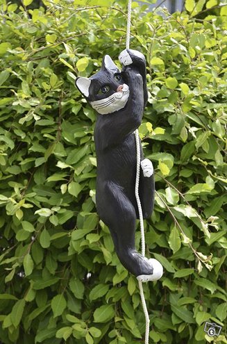 Kissapatsas, kiipeävä kissa puutarhassa