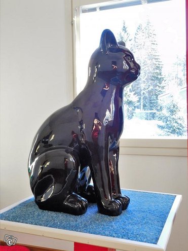 Kissapatsas sivusta, musta kiiltävä kissa istuu pöydällä