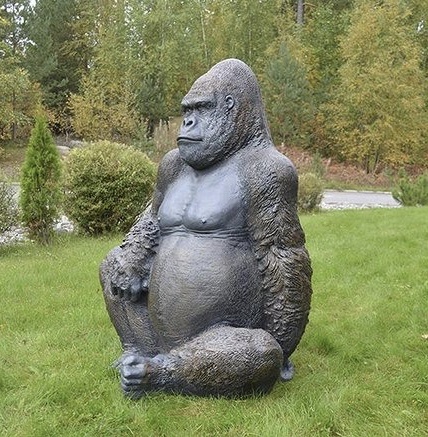 gorillapatsas, kuvattu sivulta