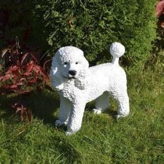 Villakoirapatsas, valkoinen koira