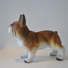 Ranskanbulldoggi, koirapatsas