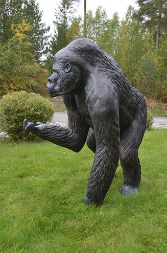 Gorillapatsas, kuvattu sivulta