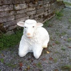 Lammaspatsas, makaava lammas, kuvattu edestä