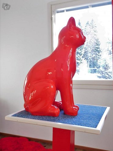 Kissapatsas, kirkkaan punainen istumassa