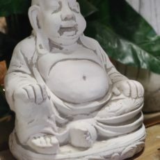 Buddhapatsas, valkoinen, istuva