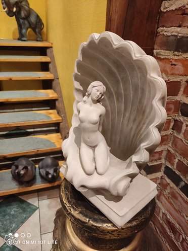 Venus patsas simpukassa, kuvattu edestä