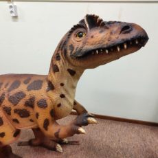 Dinosauruspatsas, Katjagosaurus, tuotekuva