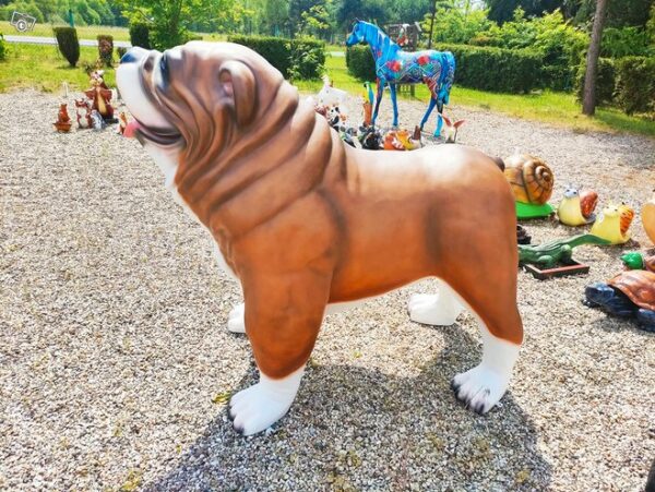 Englanninbulldoggi, kuvattu sivulta