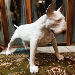 Amerikan Pitbullterrieri patsas hartsista sisustukseen 1