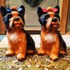 yorkie koirapatsas rusetilla yorkshirenterrieri koristepatsas 1