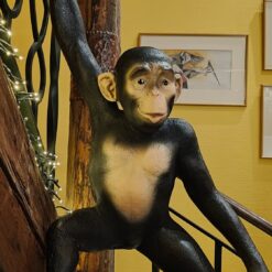 viidakkoapina sisustuspatsas apina koriste sisustukseen 1