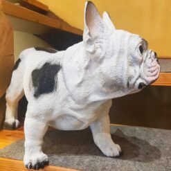Seisova ranskanbulldoggi patsas valkoinen musta realistinen koirakoriste 1